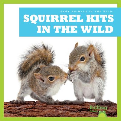 Squirrel Kits in the Wild - Chanez - Books - Jump! Incorporated - 9798885244183 - August 1, 2023