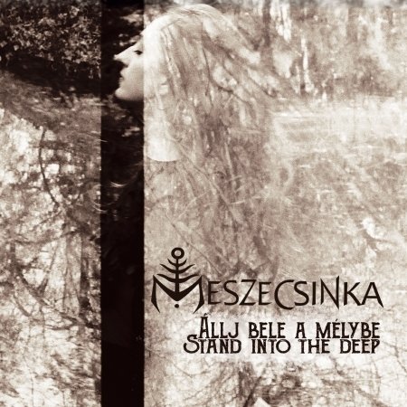 Cover for Meszecsinka · Allj Bele A Melybe - Stand Into The Deep (CD) (2019)