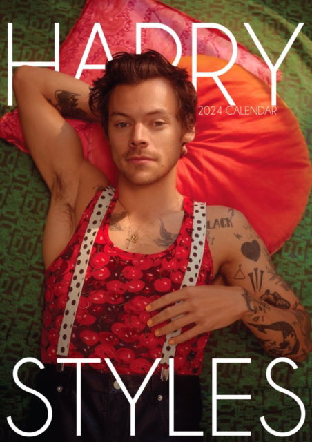 Harry Styles 2024 Unofficial Calendar - Harry Styles - Mercancía - VYDAVATELSTIVI - 5061013490184 - 