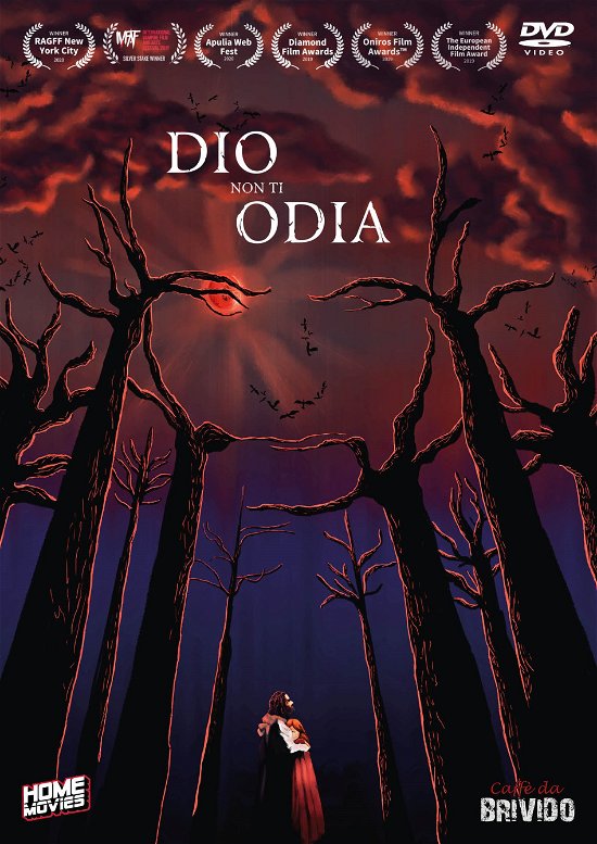 Cover for Dio Non Ti Odia (DVD) (2023)