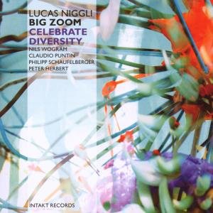 Cover for Lucas Big Zoom Niggli · Celebrate Diversity (CD) (2010)