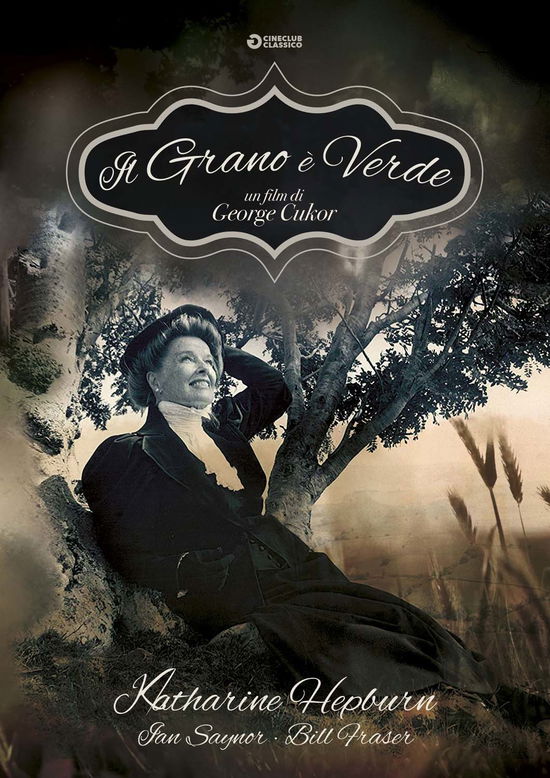 Cover for Grano E' Verde (Il) (1979) (DVD) (2019)