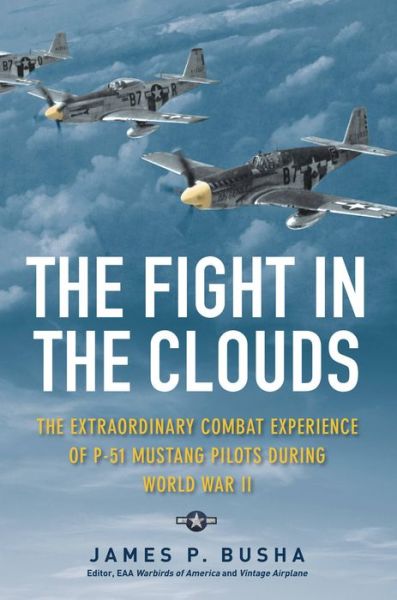 Cover for James P. Busha · The Fight in the Clouds (Hardcover Book) (2014)