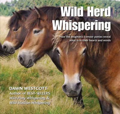 Cover for Dawn Westcott · Wild Herd Whispering: How the enigmatic Exmoor ponies reveal what is in their hearts and minds (Hardcover Book) (2017)