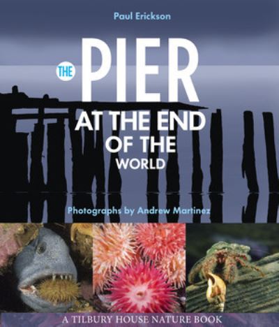 The Pier at the End of the World - Tilbury House Nature Book - Paul Erickson - Books - Tilbury House,U.S. - 9780884489184 - July 25, 2025