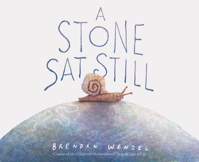 Cover for Brendan Wenzel · A Stone Sat Still (Inbunden Bok) (2019)