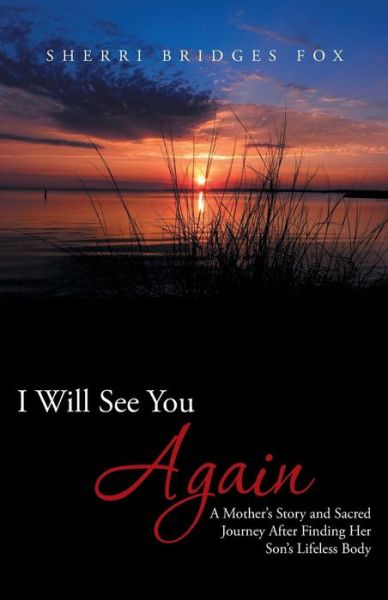 Cover for Sherri Bridges Fox · I Will See You Again: a Mother's Story and Sacred Journey After Finding Her Son's Lifeless Body (Paperback Book) (2013)