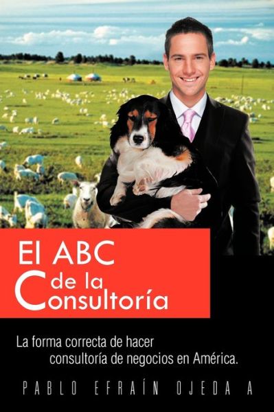 Cover for Pablo Ojeda · El Abc De La Consultoria: La Forma Correcta De Hacer Consultoria De Negocios en America. (Paperback Book) (2013)