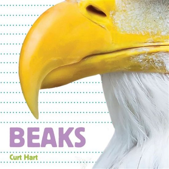 Cover for Curt Hart · Whose Is It? Beaks (Kartongbok) (2021)