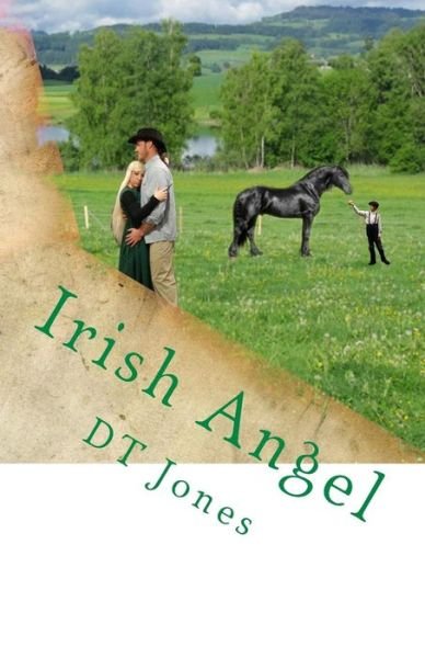 Cover for Dt Jones · Irish Angel (Paperback Bog) (2014)