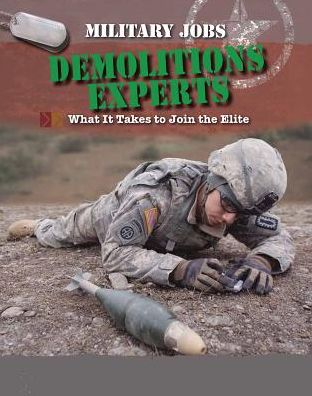 Cover for Tim Ripley · Demolitions Experts (Hardcover Book) (2015)