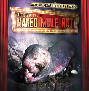 Cover for Janey Levy · The Repulsive Naked Mole Rat (Paperback Book) (2019)