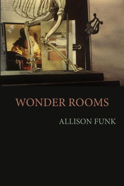 Cover for Allison Funk · Wonder Rooms (Paperback Book) (2015)