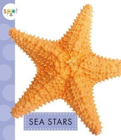 Cover for Mari C. Schuh · Sea Stars (Book) (2019)