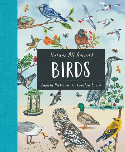 Pamela Hickman · Nature All Around: Birds (Hardcover Book) (2020)