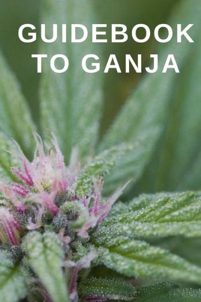 Cover for Daddy Dank · Guidebook to Ganja (Taschenbuch) (2019)