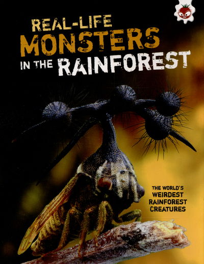 Cover for Matthew Rake · Weirdest Rainforest Creatures - Real-Life Monsters (Paperback Book) (2015)