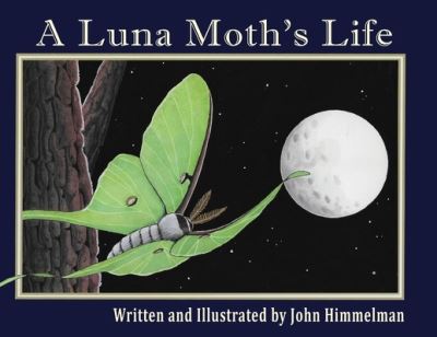 Cover for John Himmelman · A Luna Moth's Life - Nature Upclose (Paperback Book) [Large type / large print edition] (2022)