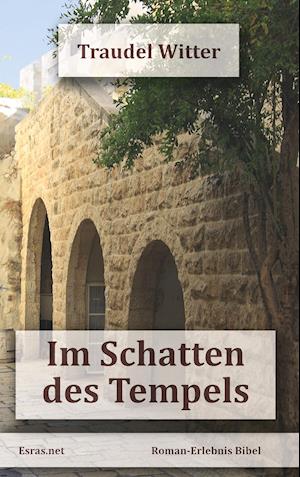 Cover for Traudel Witter · Im Schatten des Tempels (Paperback Book) (2018)