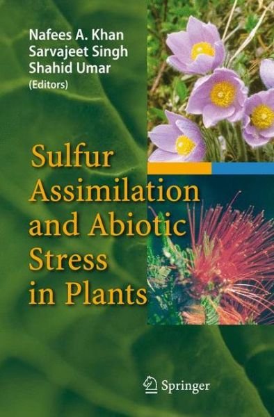 Cover for Nafees a Khan · Sulfur Assimilation and Abiotic Stress in Plants (Taschenbuch) [Softcover reprint of hardcover 1st ed. 2008 edition] (2010)