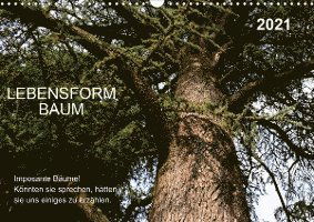 Cover for Gaudig · Lebensform Baum (Wandkalender 20 (Book)