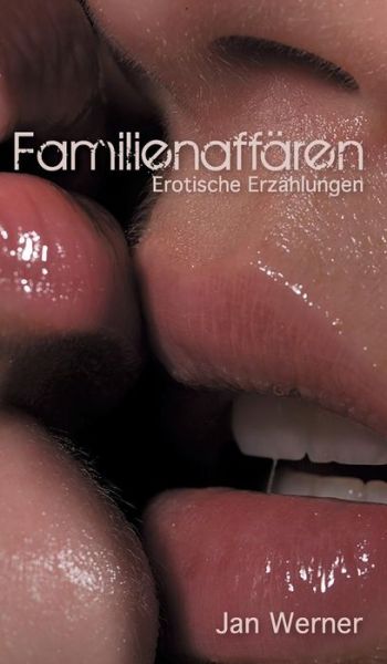 Cover for Werner · Familienaffären (Book) (2019)