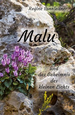 Cover for Regine Sonnleitner · Malu und das Geheimnis des kleinen Lichts (Paperback Book) (2021)
