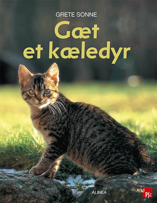 Cover for Grete Sonne · PS: Mini PS, Gæt et kæledyr (Sewn Spine Book) [1st edition] (2012)