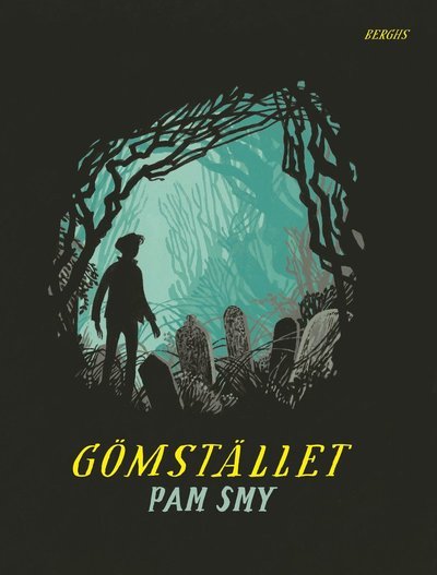 Cover for Pam Smy · Gömstället (Inbunden Bok) (2021)