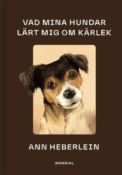 Cover for Ann Heberlein · Vad mina hundar lärt mig om kärlek (Map) (2023)