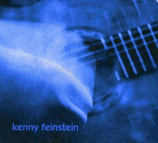 Kenny Feinstein - Kenny Feinstein - Musiikki - FLUFF AND GRAVY RECORDS - 0857674003185 - maanantai 21. lokakuuta 2013