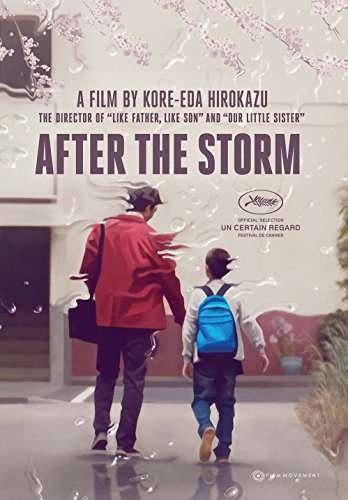 Cover for After the Storm (DVD) (2017)