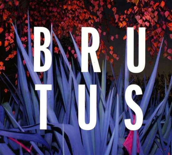 Burst - Brutus - Musique - HASSLE - 5060246128185 - 24 février 2017