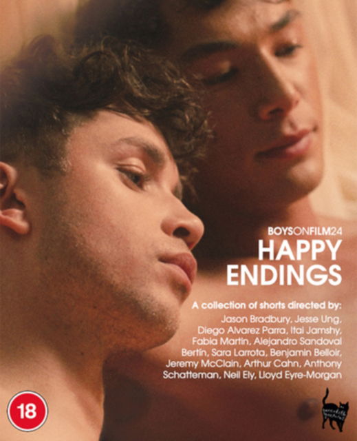 Cover for Boys on Film 24 Happy Endings BD · Boys On Film 24 - Happy Endings (Blu-Ray) (2024)