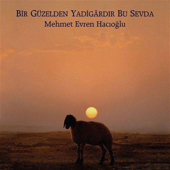 Cover for Mehmet Evren Hacioglu · Bir Guzelden Yadigardir Bu Sevda (CD) (2020)