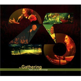 Tg25: Live At Doornroosje - Gathering - Musik - PSYCHO RECORDS - 8716059006185 - 28. januar 2016