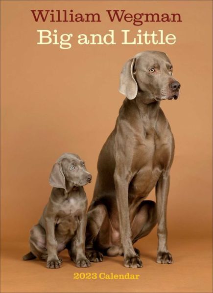 Cover for William Wegman · William Wegman Big and Little 2023 Wall Calendar (Kalender) (2022)