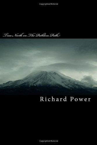 Cover for Richard Power · True North on the Pathless Path: Toward a 21st Century Spirituality (Paperback Book) (2009)