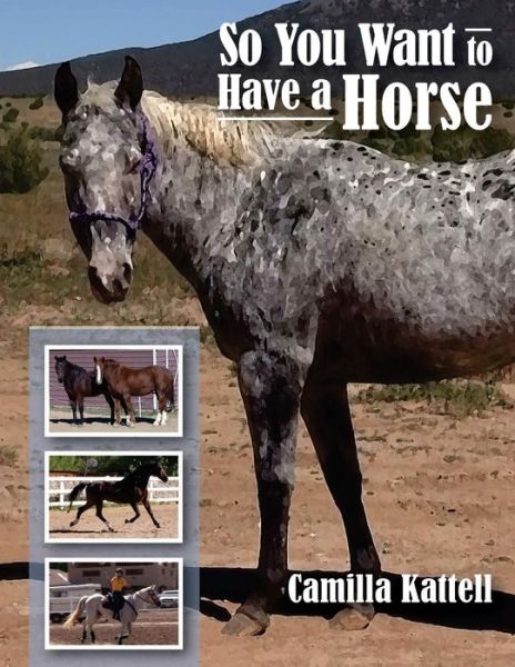 Cover for Camilla Kattell · So You Want to Have a Horse (Paperback Book) (2013)