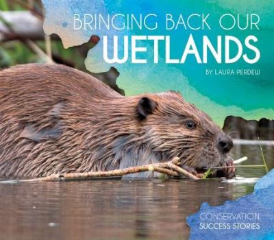 Cover for Laura Perdew · Bringing Back Our Wetlands (Hardcover Book) (2017)