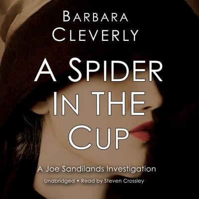 Cover for Barbara Cleverly · A Spider in the Cup Lib/E (CD) (2013)