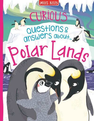 Cover for D32hb Curious Q  a Polar Lands (Book) (2022)