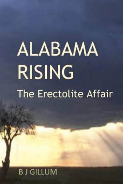 Cover for B J Gillum · Alabama Rising (Paperback Book) (2015)