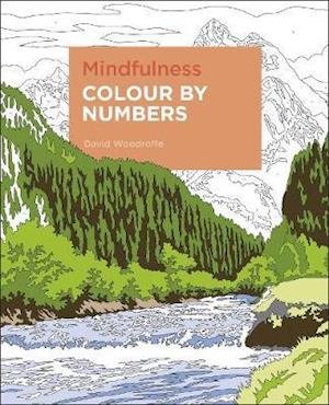 Mindfulness Colour by Numbers - David Woodroffe - Bøger - Arcturus Publishing Ltd - 9781838574185 - 28. september 2020