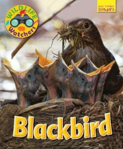 Cover for Ruth Owen · Wildlife Watchers: Blackbird - Ruby Tuesday Readers (Taschenbuch) (2017)