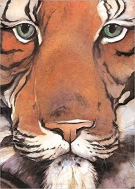 Cover for Jackie Morris · Jackie Morris Poster: Tiger (Plakat) (2018)