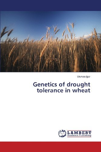Cover for Usman Ijaz · Genetics of Drought Tolerance in Wheat (Paperback Book) (2013)