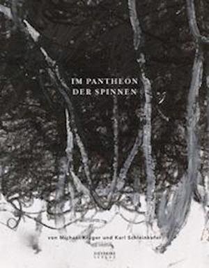 Cover for Michael Krüger · Im Pantheon der Spinnen (Inbunden Bok) (2021)