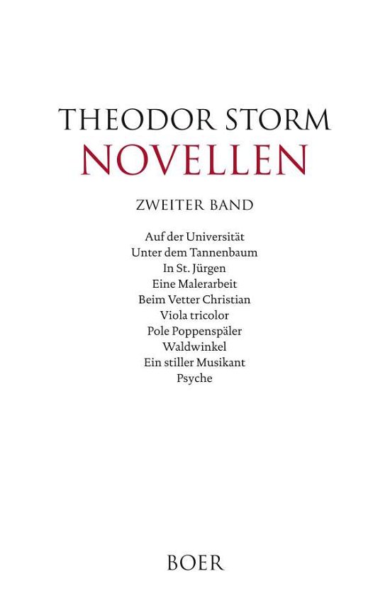Cover for Storm · Novellen zweiter Band (Bog)