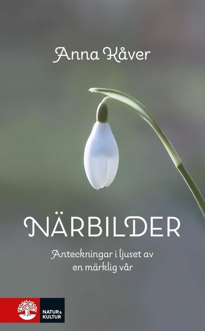 Cover for Anna Kåver · Närbilder : Anteckningar i ljuset av en märklig vår (Bound Book) (2021)